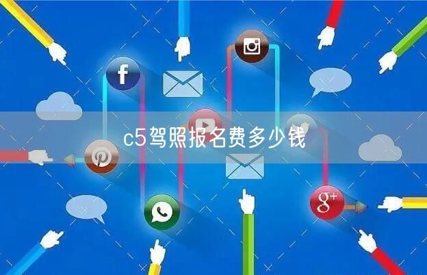 c5驾照报名费多少钱