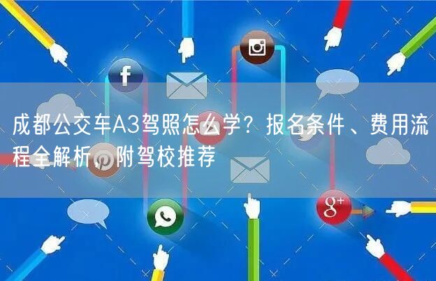 成都公交车A3驾照怎么学？报名条件、费用流程全解析，附驾校推荐