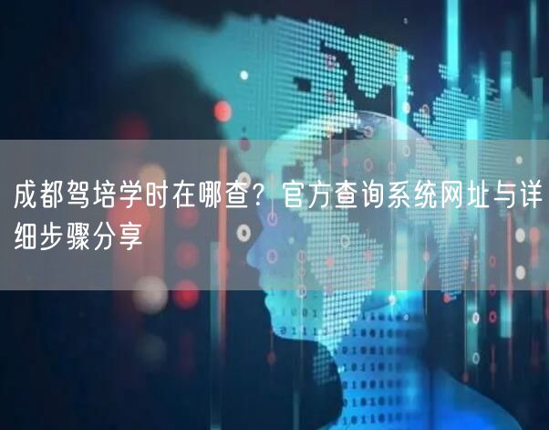 成都驾培学时在哪查？官方查询系统网址与详细步骤分享